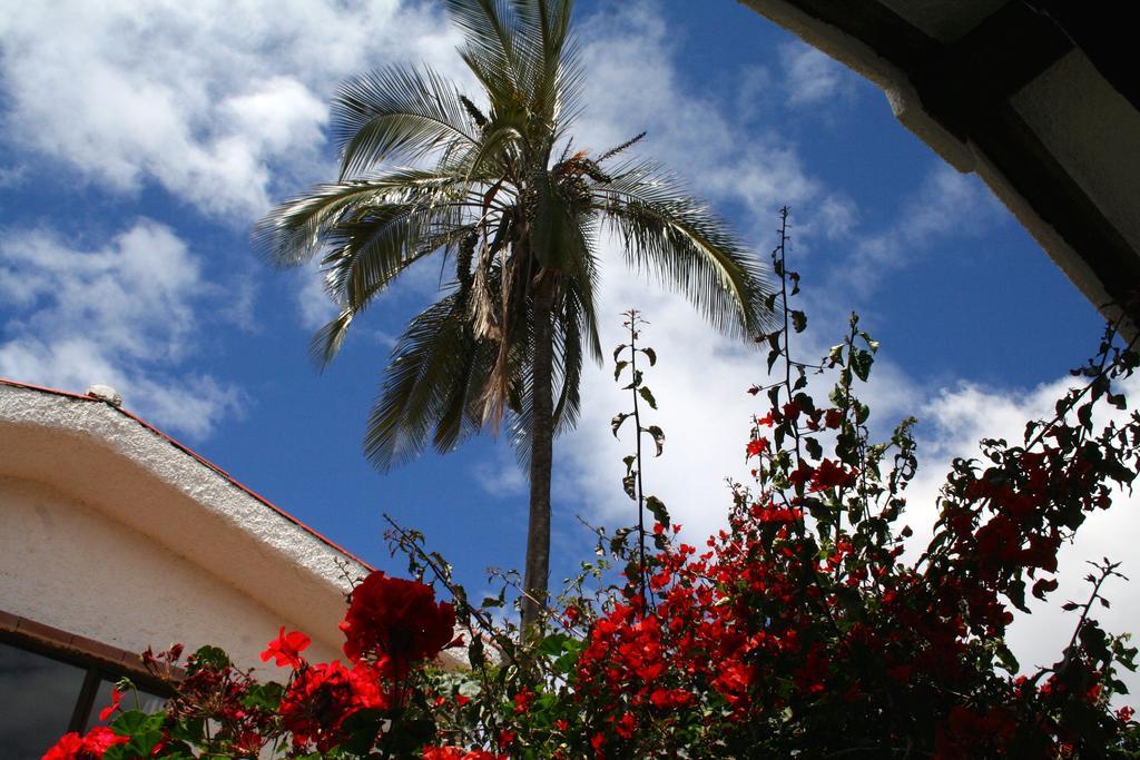 Casa Macondo Bed & Breakfast Cuenca Room photo