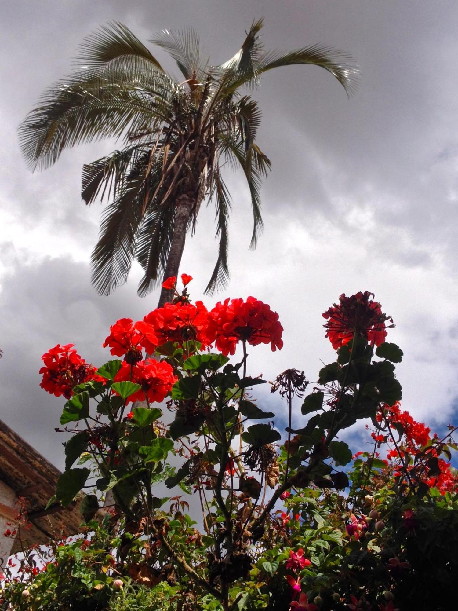 Casa Macondo Bed & Breakfast Cuenca Exterior photo